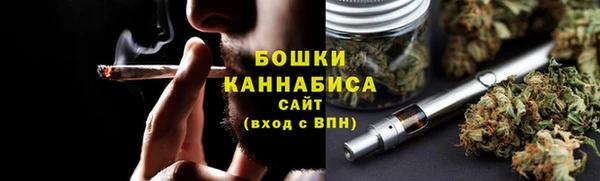 спайс Гусь-Хрустальный