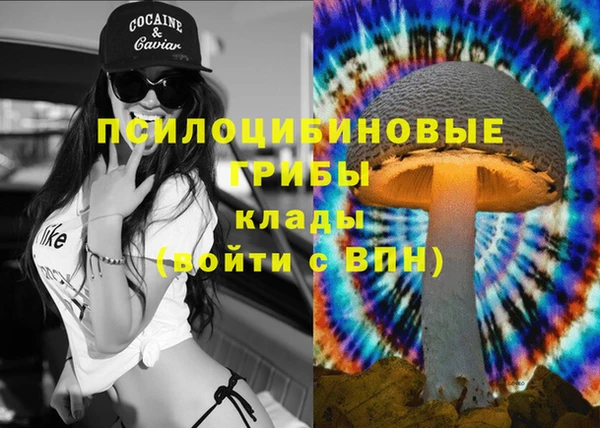 МДПВ Дмитров