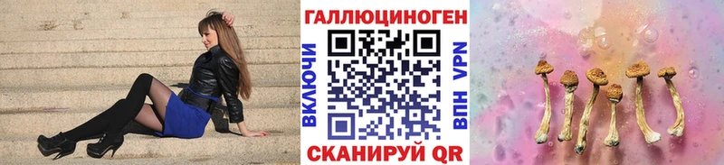 Галлюциногенные грибы Psilocybe  Ишим 
