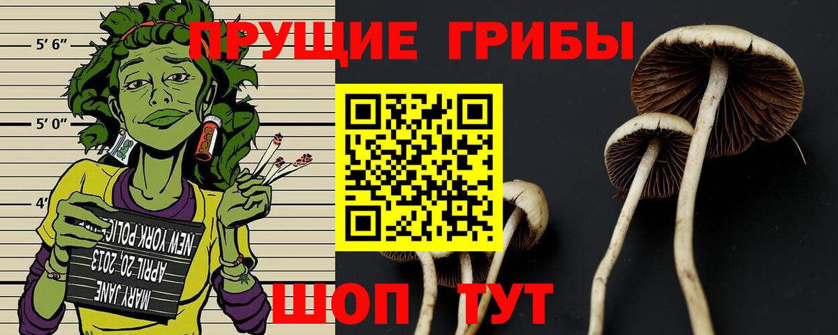Псилоцибиновые грибы прущие грибы Ишим
